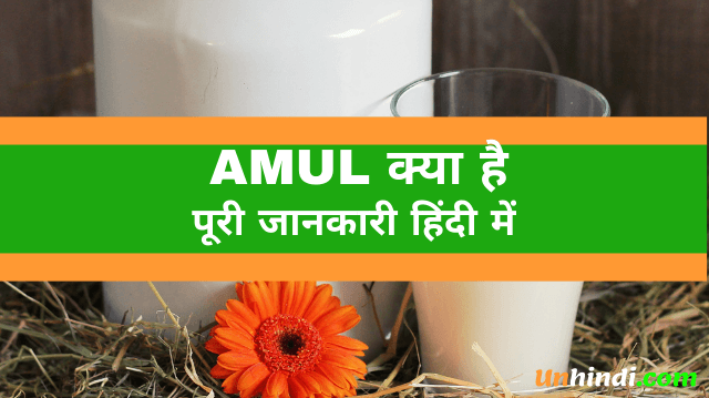 AMUL kya hota hai, what is AMUL, AMUL ka full form, full form of AMUL, AMUL full form in Hindi